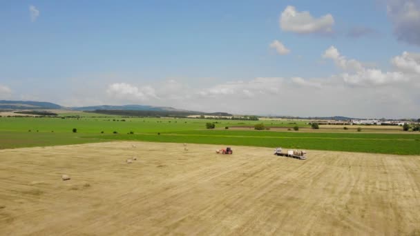 Tractor Levantando Paca Heno Carretilla — Vídeos de Stock