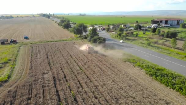 Vista Aerea Della Mietitrebbia Macchina Agricola Raccolta Campo Grano Maturo — Video Stock