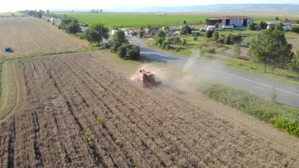 Luftaufnahme Von Mähdrescher Landwirtschaftliche Maschine Ernte Goldenen Reifen Weizen Feld — Stockvideo