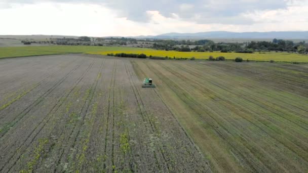 Vanuit Lucht Bekijken Van Combinatie Oogstmachine Landbouwmachine Oogsten Gouden Rijpe — Stockvideo