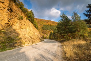 Sonbahar yolu. Güzel, parlak sonbahar yolu manzarası. Ağaçlardaki kırmızı yapraklar.
