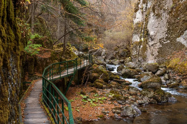 Bridge Hikers Gorge Devinska River Bulgaria Autumn — Stock Photo, Image