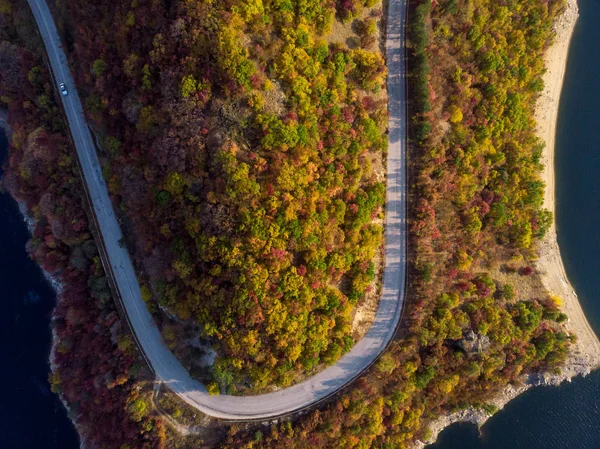 Autumn forest drone aerial shot, Overhead view of foliage trees and road.