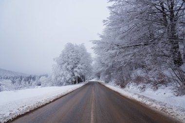 Ormandan geçen dağ yolu..