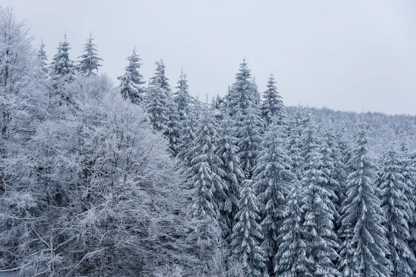 Paisaje Invernal Montañas Búlgaras —  Fotos de Stock