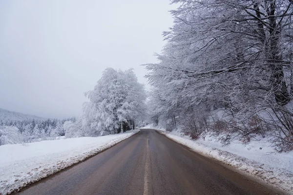 Mountain Winter Road Forest — Stock Photo, Image