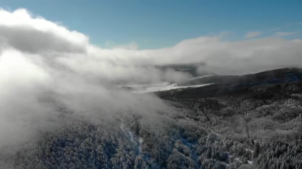 Vliegen Boven Besneeuwde Winter Mistige Bergbos Met Sneeuw Bedekt Bovenaanzicht — Stockvideo