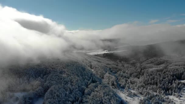 在被雪覆盖的雾蒙蒙的山林上 在雪的白雪中飘扬 山顶景观 清晨在树林中的飘雾中的风景 — 图库视频影像