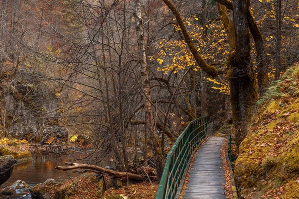Bridge Hikers Gorge Devinska River Bulgaria Autumn — Stock Photo, Image