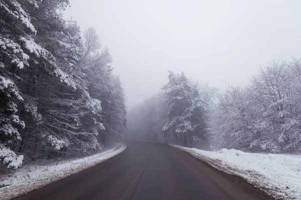 Empty Road Amidst Trees Foggy Weather — Stock Photo, Image