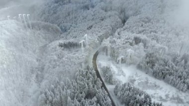 Ağaçlar kış manzarası, yol ve kar kaplı. Otoyol orman arasında hava görünümünü. Kış orman görünümünde karlı ağaç dal. Havadan görüntüleri, 4k video.