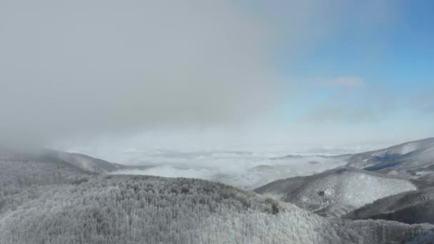 雪に覆われた冬霧の深い山の森の上の飛行は 雪で覆われました 朝の木 々の間から霧を漂う風景トップ ビュー — ストック動画