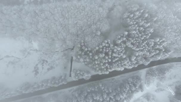 冬の風景 道路や雪の木に覆われています 森の高速道路の空撮 冬の森のビューで雪に覆われた木の枝 空中映像を — ストック動画