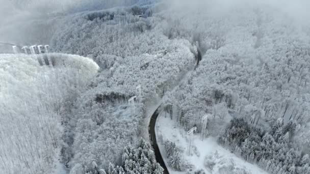 Winterlandschap Weg Sneeuw Bedekt Bomen Luchtfoto Van Snelweg Tussen Het — Stockvideo