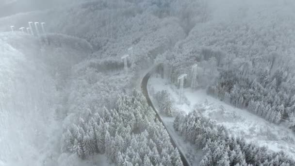 Paisaje Invernal Caminos Árboles Cubiertos Nieve Vista Aérea Carretera Entre — Vídeos de Stock