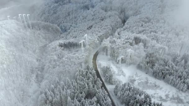 Paisaje Invernal Caminos Árboles Cubiertos Nieve Vista Aérea Carretera Entre — Vídeos de Stock