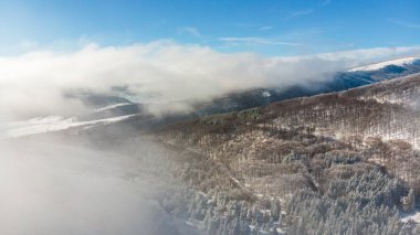 Karlı kış dağ orman yukarıda uçan kar ile kaplı. Üstten görünüm, sabah sis ağaçların arasından sürüklenen ile peyzaj.
