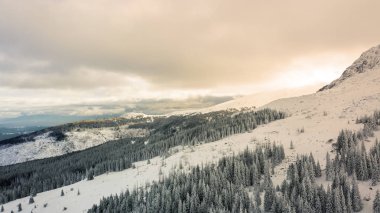 Günbatımında karla kaplı ormanın hava manzarası, Bulgaristan 'ın Vitosha kenti.