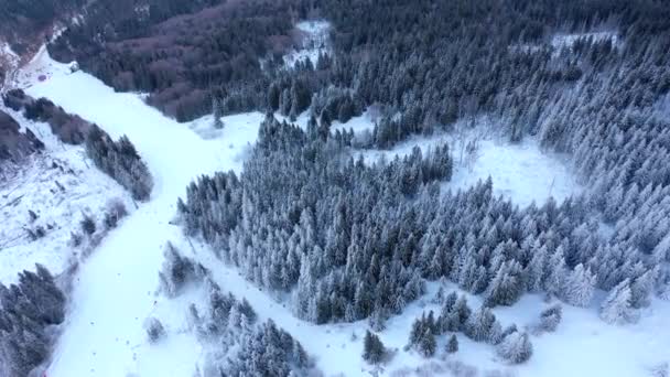 空撮スキーヤーとスキー場の雪山でスキー場のリフトにスノーボーダー マウンテン リゾート ドローン ビューに人々 の輸送のためのスキー エレベーター 冬のスポーツのスキー リゾート — ストック動画