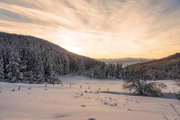 Gün batımında karlı manzara, Bulgaristan 'da kışın donmuş ağaçlar.