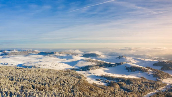 Vista Aérea Vista Aérea Drone Uma Paisagem Inverno Floresta Coberta — Fotografia de Stock