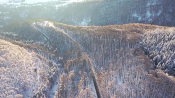Luftaufnahme Der Straße Und Des Waldes Zur Winterzeit Natürliche Winterlandschaft — Stockvideo