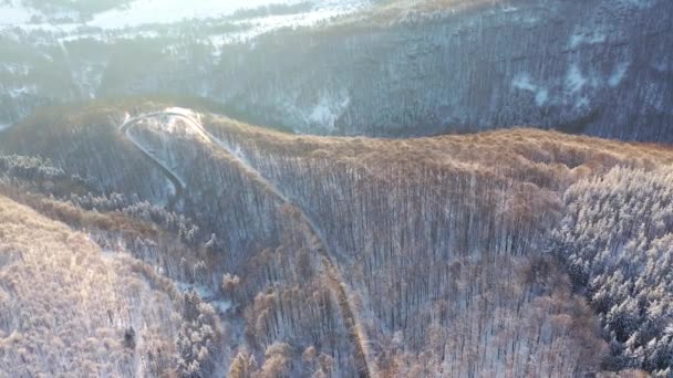 Letecký Pohled Silnici Les Zimní Době Přírodní Zimní Krajiny Vzduchu — Stock video