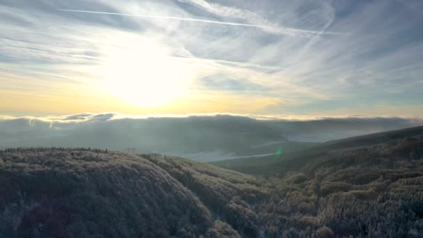 Légifelvételek Légi Drone Nézet Téli Táj Hóval Borított Erdő Drámai — Stock videók