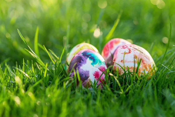 Traditionally painted Easter eggs hidden in grass.