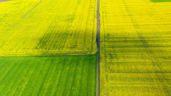 Luchtfoto van de zomer velden. Gele velden van bovenaf. Foto ca — Stockfoto