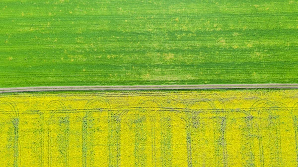 Vista aérea de los campos de verano. Campos amarillos desde arriba. Foto ca — Foto de Stock