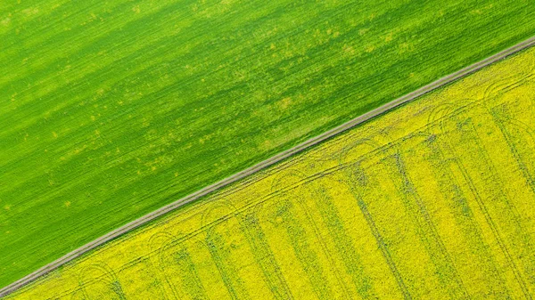Vista aérea sobre los campos agrícolas. — Foto de Stock