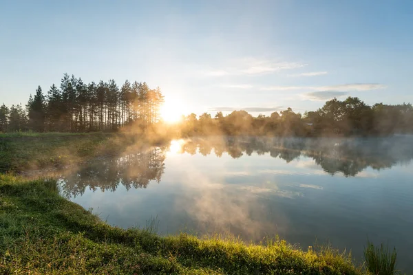 Morning fog on the forest lake. — Stock Photo, Image