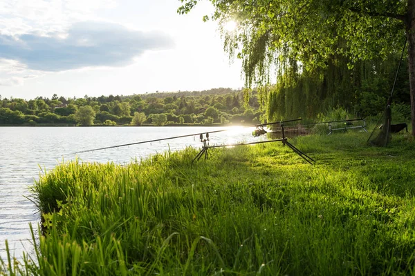 Сесія Риболовлі Lake Carp Англінга Мальовничий Пейзаж Видом Озеро Dawn — стокове фото