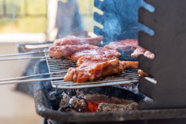 Yaz doğa ızgarası bbq eti, piknik mangalı.