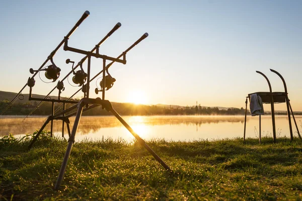 Karpfenangelruten Mit Karpfenbissanzeigen Und Rollen Die Auf Einer Rutenschale Der — Stockfoto