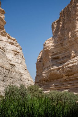 Renkli kumlu güzel dağlar