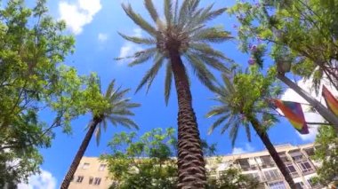 Gurur LGBT gökkuşağı bayrakları ağır çekimde dalgalanıyor.