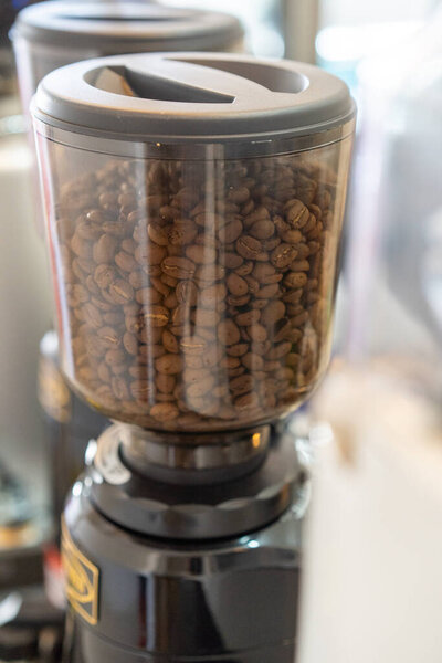 Coffee beans in electric coffee grinder.