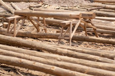 Büyük tahta yığınları, meşe ağaçları.