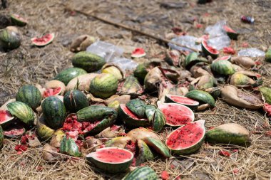 Bir sürü çürük karpuz kaldı..