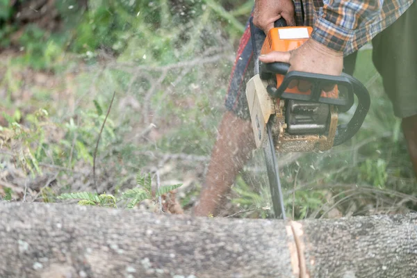 Close Chainsaw Sawing Wood Sawdust Movement Flying Side — Stock Photo, Image