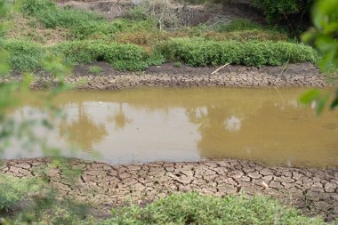Tarımdan arındırılmış kanal