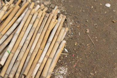 Kuruyana kadar uzun süre kesilen bambu.