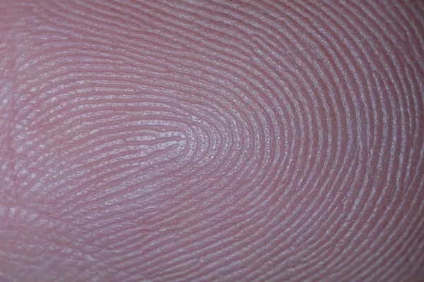 Bir insan sürtünme sırtlar closeup makro fotoğraf      