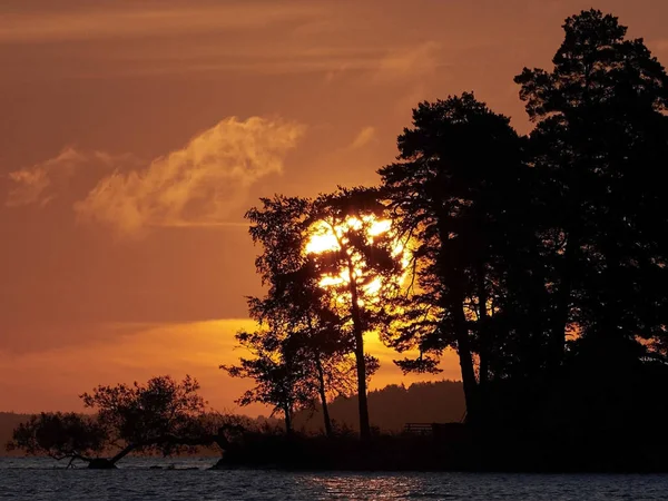 Sunrice Egy Svéd Fák Vizek — Stock Fotó