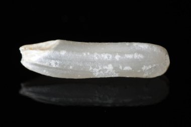 Makro çekim siyah bir zemin üzerine çiğ beyaz pirinç