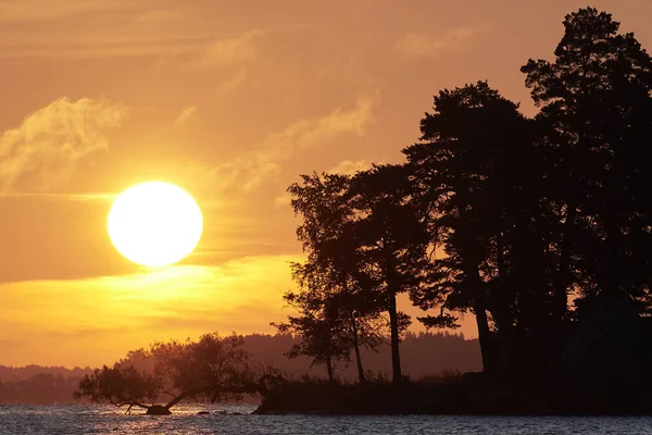 Sunrice 在瑞典湖上的树木和水 — 图库照片
