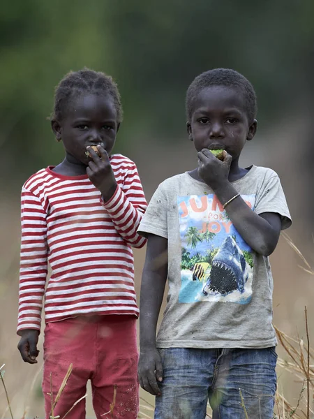 Gâmbia Januar 2019 Crianças Africanas Pobres Desconhecidas Comendo Frutas — Fotografia de Stock