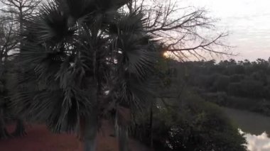 Wassadou, Senegal, Gambiya Nehri'nin havadan görünümü